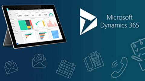 Microsoft Dynamics 365 Finance & SCM & Business Central Services